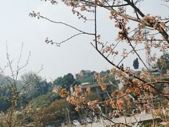 -楠柏弯休闲山庄(梨花溪店)