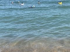 -白云中餐厅·粤菜·亚龙湾喜来登度假酒店