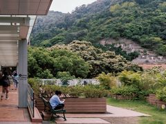 -香港大学