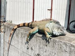 -南丫岛