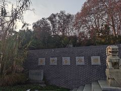 -菊花台公园
