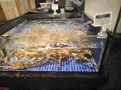 -高佳庄·舟山海鲜(海景旗舰店)