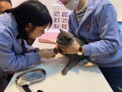 -御宝贝·A梦猫科宠物医院(国际猫友好医院)