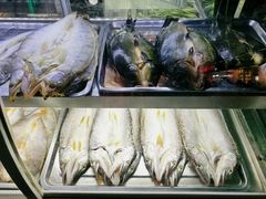 -布尔津河堤夜市