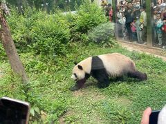 -黔灵山公园