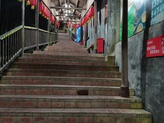 -鲤鱼塘农家山庄