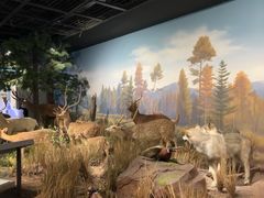 -陕西自然博物馆