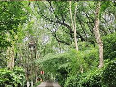 -杭州半山国家森林公园