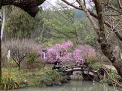-灵栖洞天