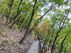 -帽儿山国家森林公园