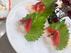 -新一番三文鱼寿司(大东海店)