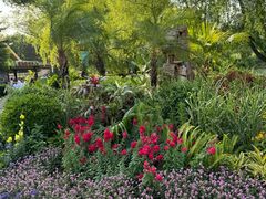 -长春市南湖公园