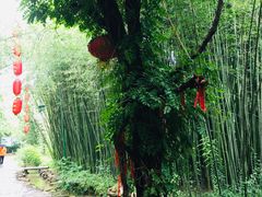 -竹泉村旅游度假区