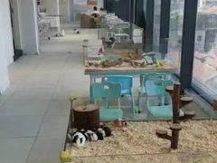 -怪兽屋·羊驼·猫咖·狗咖(俊华广场店)