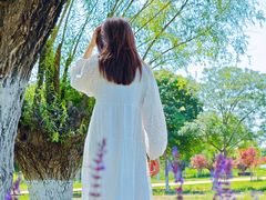 -汉长安城未央宫国家考古遗址公园