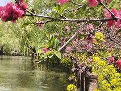 -南汇桃花村