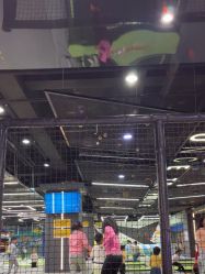-反弹蹦床公园·亲子乐园·团建·派对(中庚漫游城店)