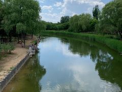 -大兴滨河森林公园