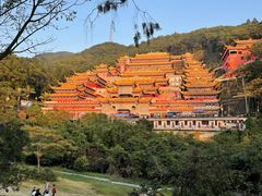 -东莞市大岭山森林公园