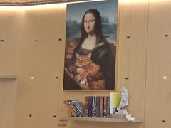 -飞行喵MR PILOT|猫舍·猫咖(静安大融城店)