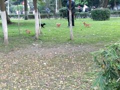 -四川大学(华西校区)