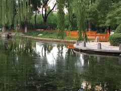-玲珑塔公园