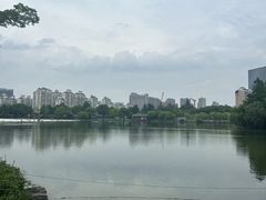 -大宁公园