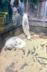 -未来动物城主题公园(正弘城店)