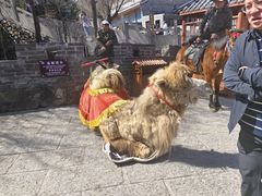 -雁门关景区