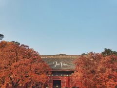 -香山公园
