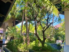 -海南清水湾莱佛士酒店