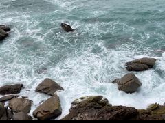 -广东惠东海龟国家级自然保护区