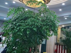 -小贝壳酒楼(经九路店)