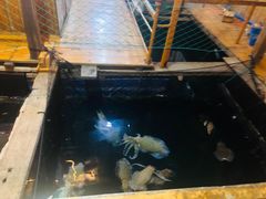 -蓝湾碧波·老字号·疍家非遗海上餐厅
