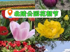 -北陵公园