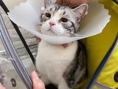 -美联众合动物医院·24h京西诊疗中心