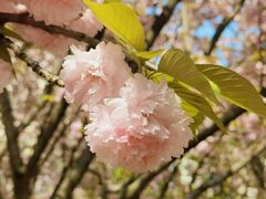 -苏州河梦清园环保主题公园