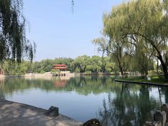-百脉泉景区