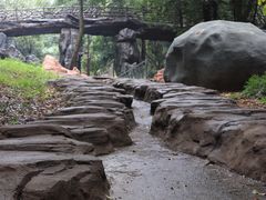 -石燕湖生态旅游景区