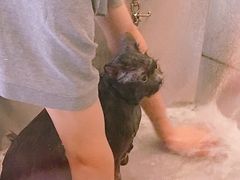 -PETKIT小佩宠物(古北店)