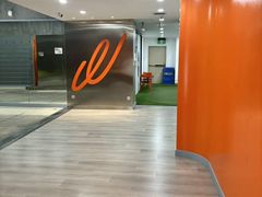 -健身专家Wellness Experts