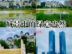 -花果园湿地公园