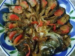 -爱月宝月嫂·育儿嫂(哈尔滨总店)