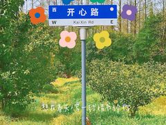 -上海长兴岛郊野公园