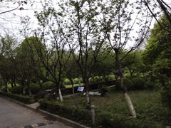 -重庆平顶山公园