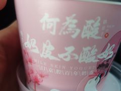 -大鸭梨烤鸭(顺义石园店)