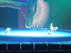 -珠海横琴长隆《卡卡虎奇遇记》