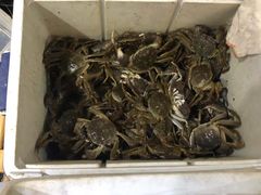 -怡乡王品海鲜姿造自助体验餐厅(大岛商业广场店)