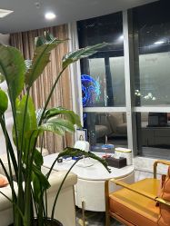 -洁铭新加坡医美