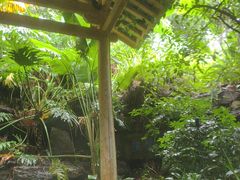 -腾冲洞山温泉村